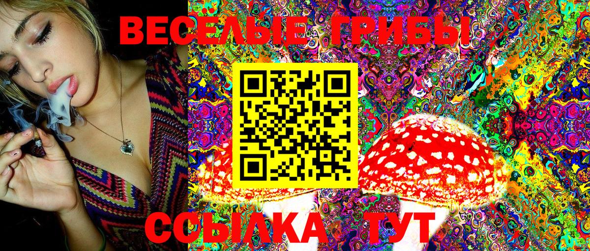 Псилоцибиновые грибы Magic Shrooms  где можно купить   Краснознаменск  Вход с VPN 