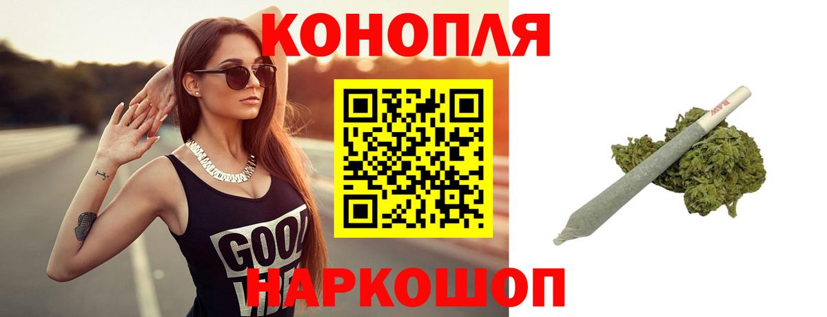 МЕФ Краснознаменск